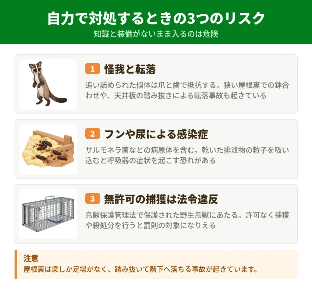 屋根裏のハクビシンを自力で対処するときの3つのリスク