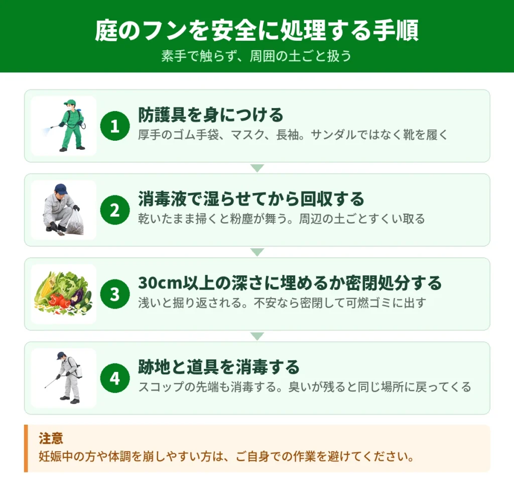 庭のハクビシンのフンを安全に処理する手順