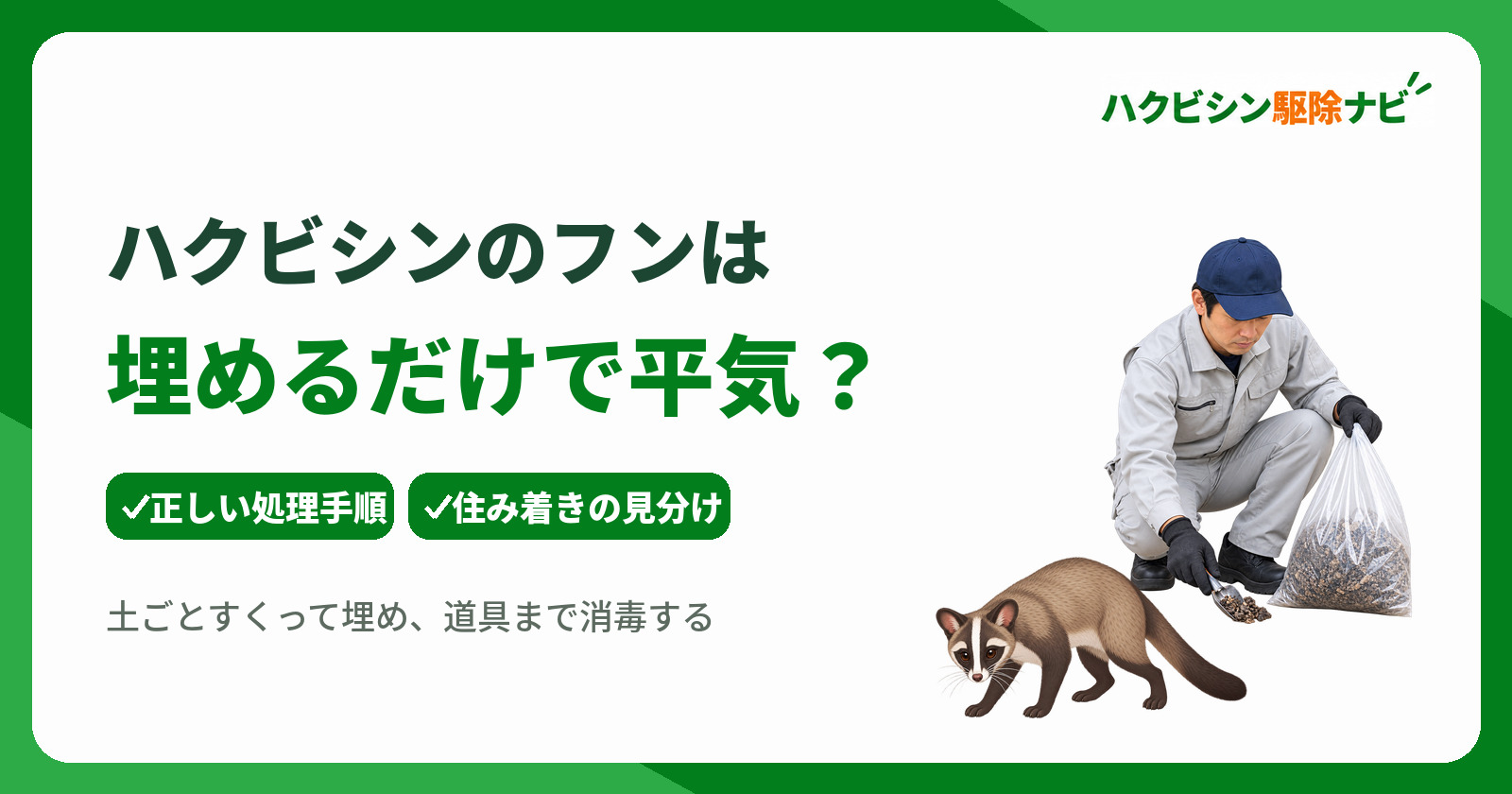 ハクビシンのフンは埋めるだけで平気?正しい処理手順と住み着き判断基準