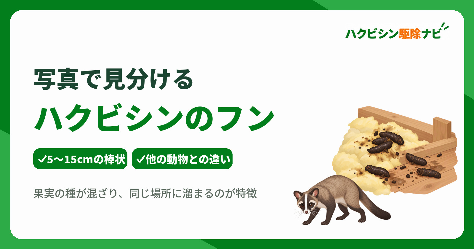 ハクビシンのフン写真で特徴を判別！長さや種の見分け方と安全な対処法