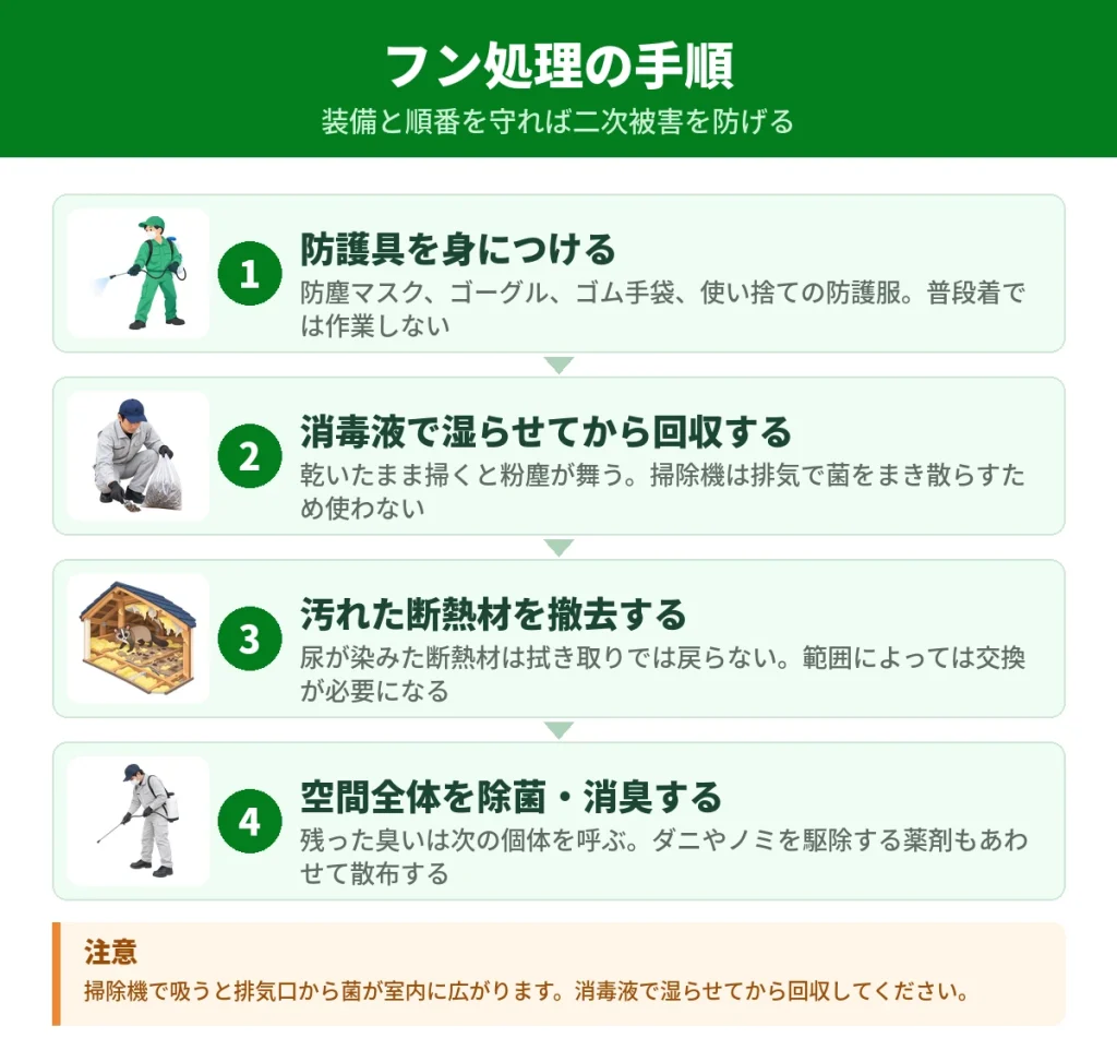 ハクビシンのフンを自力で処理する手順