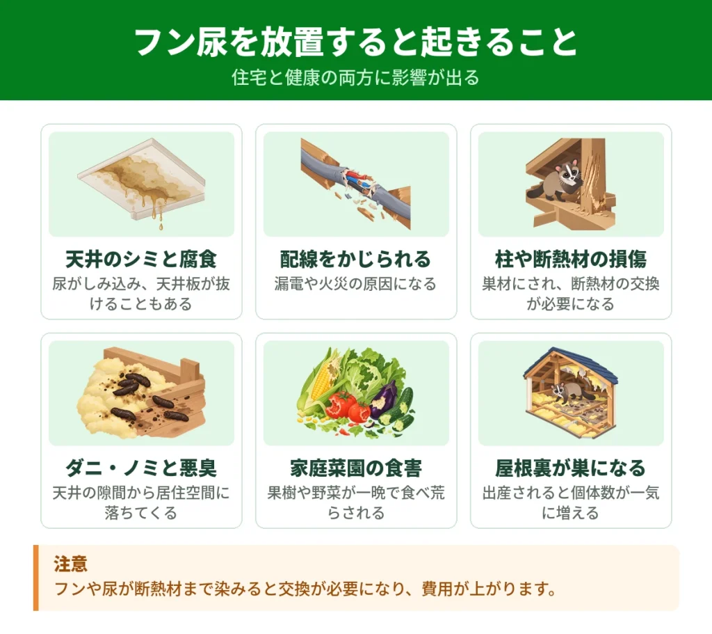 ハクビシンのフン尿を放置したときに起きる被害