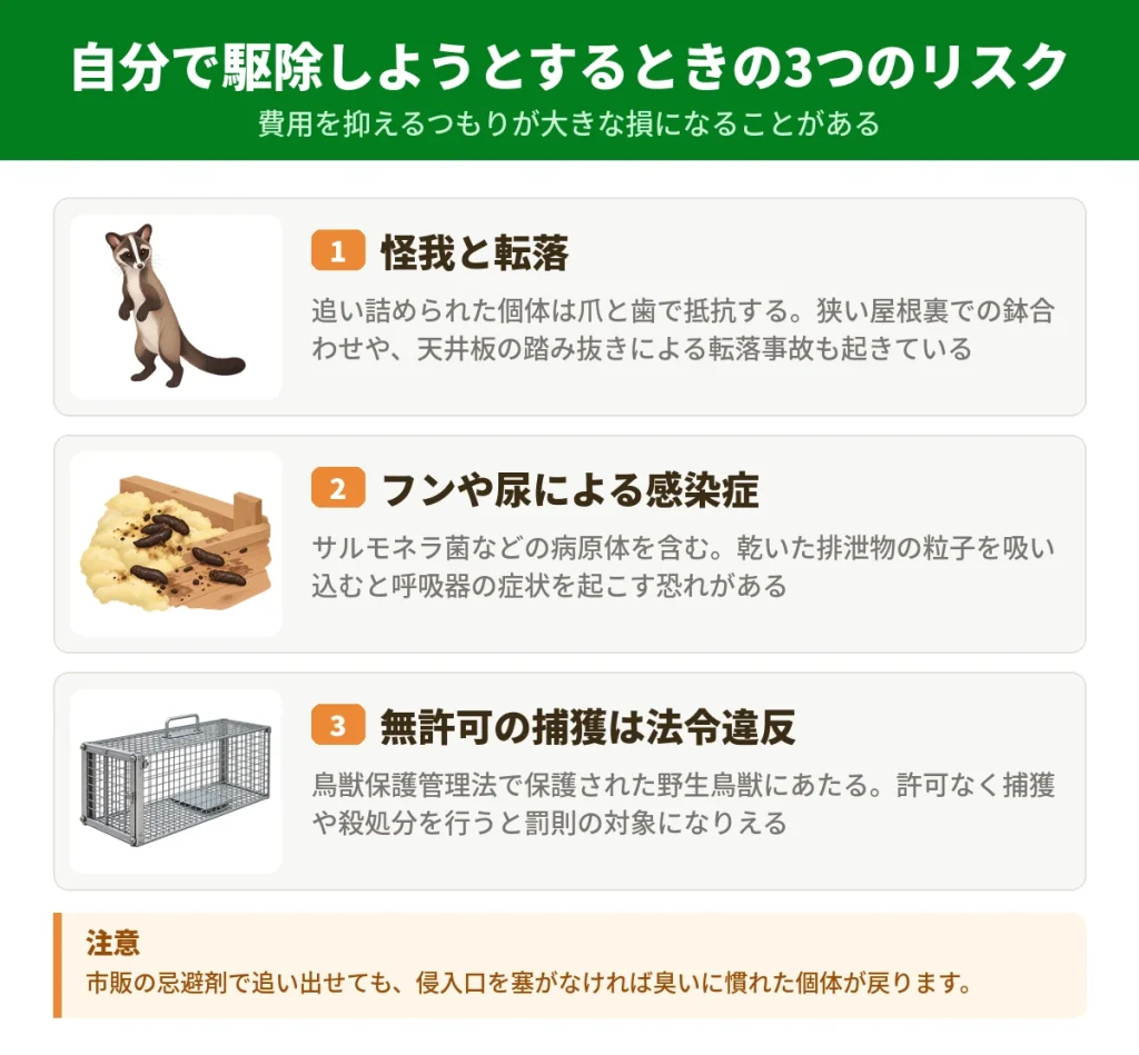 ハクビシンを自分で駆除するときの3つのリスク