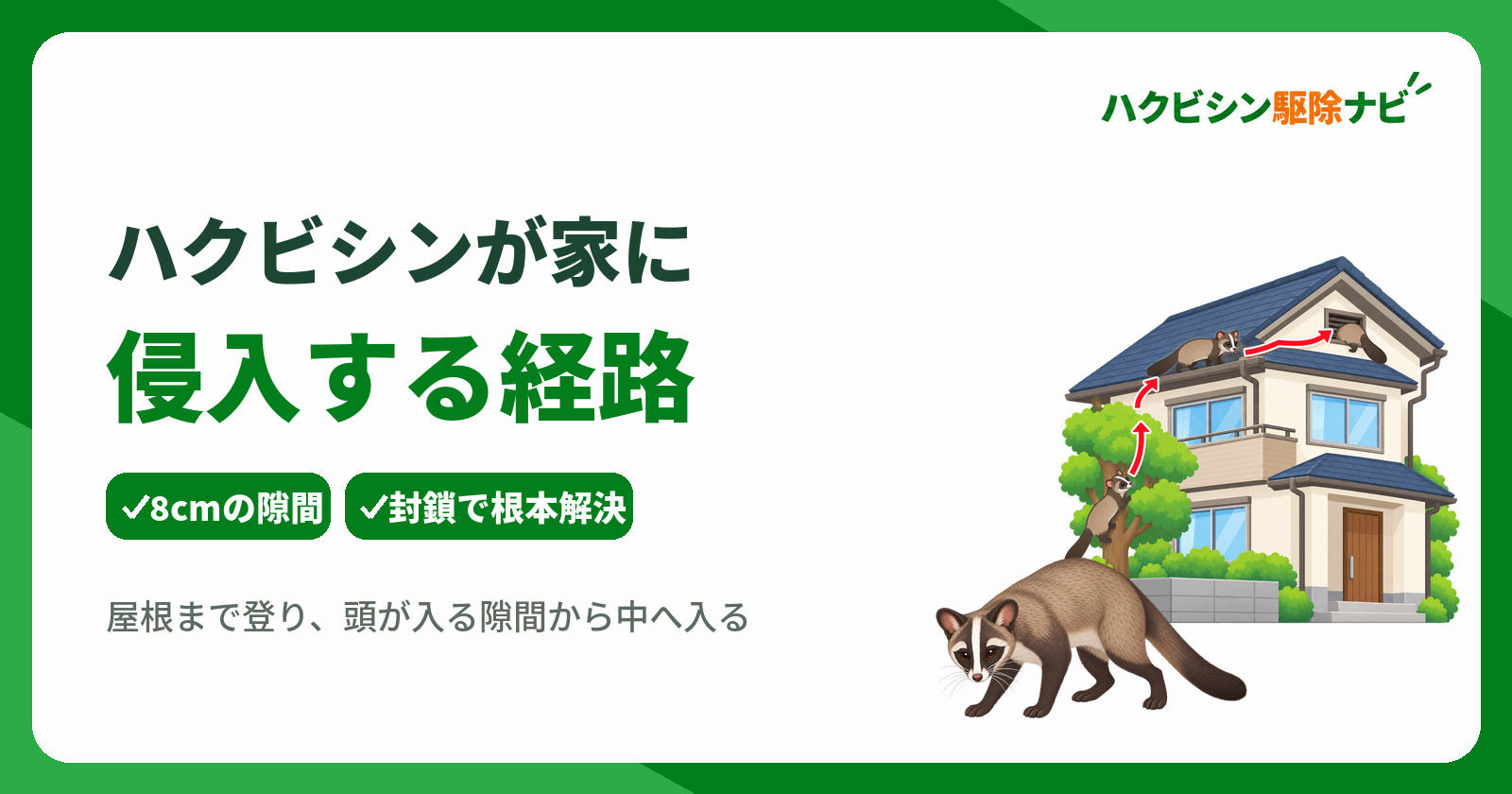 ハクビシンが家に侵入する経路は?8cmの隙間封鎖と追い出しで根本解決
