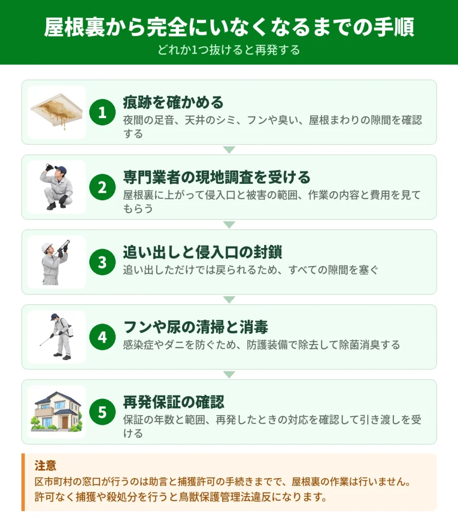 屋根裏のハクビシンを解決するまでの手順