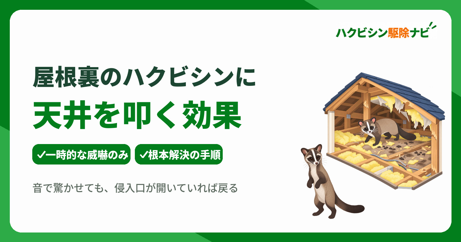 ハクビシンが屋根裏にいるときに天井を叩く効果と根本的な解決策
