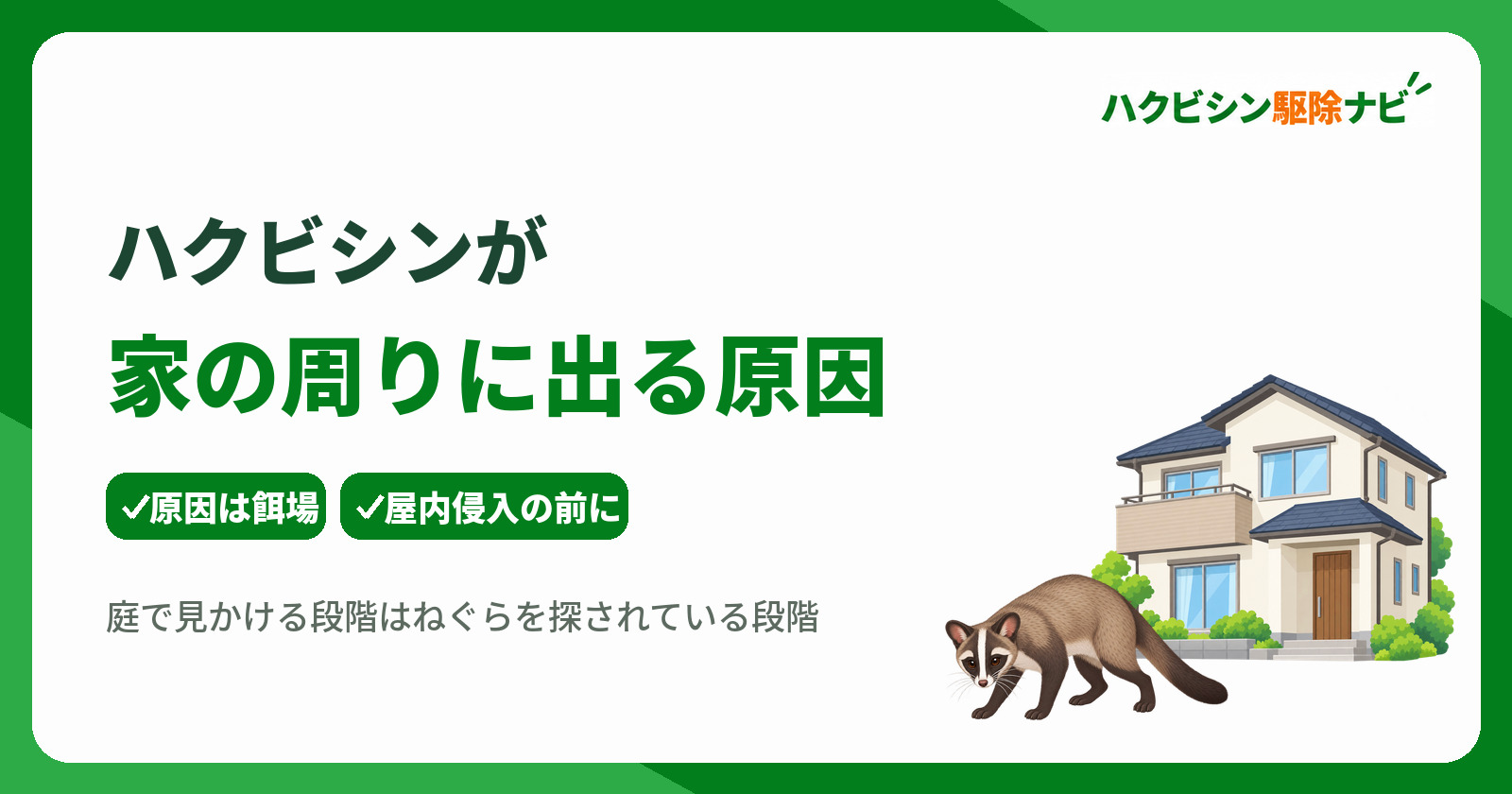 ハクビシンが家の周りに出る原因は?自力対策の限界とプロへの相談基準