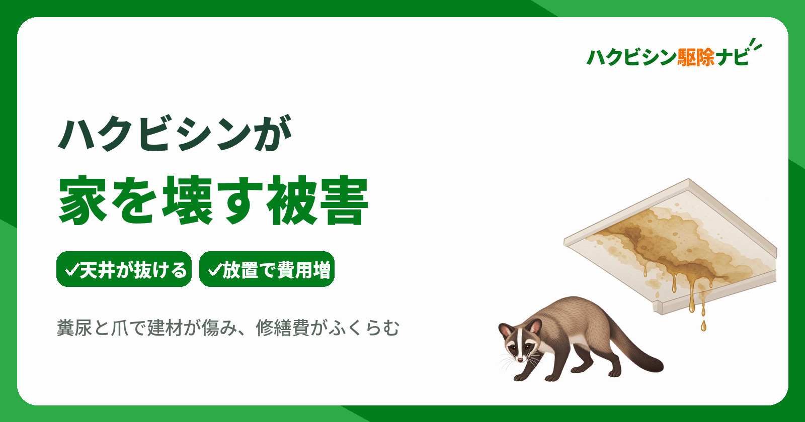 ハクビシンが家を壊す原因とは?天井の腐敗被害や対策と相談先を解説