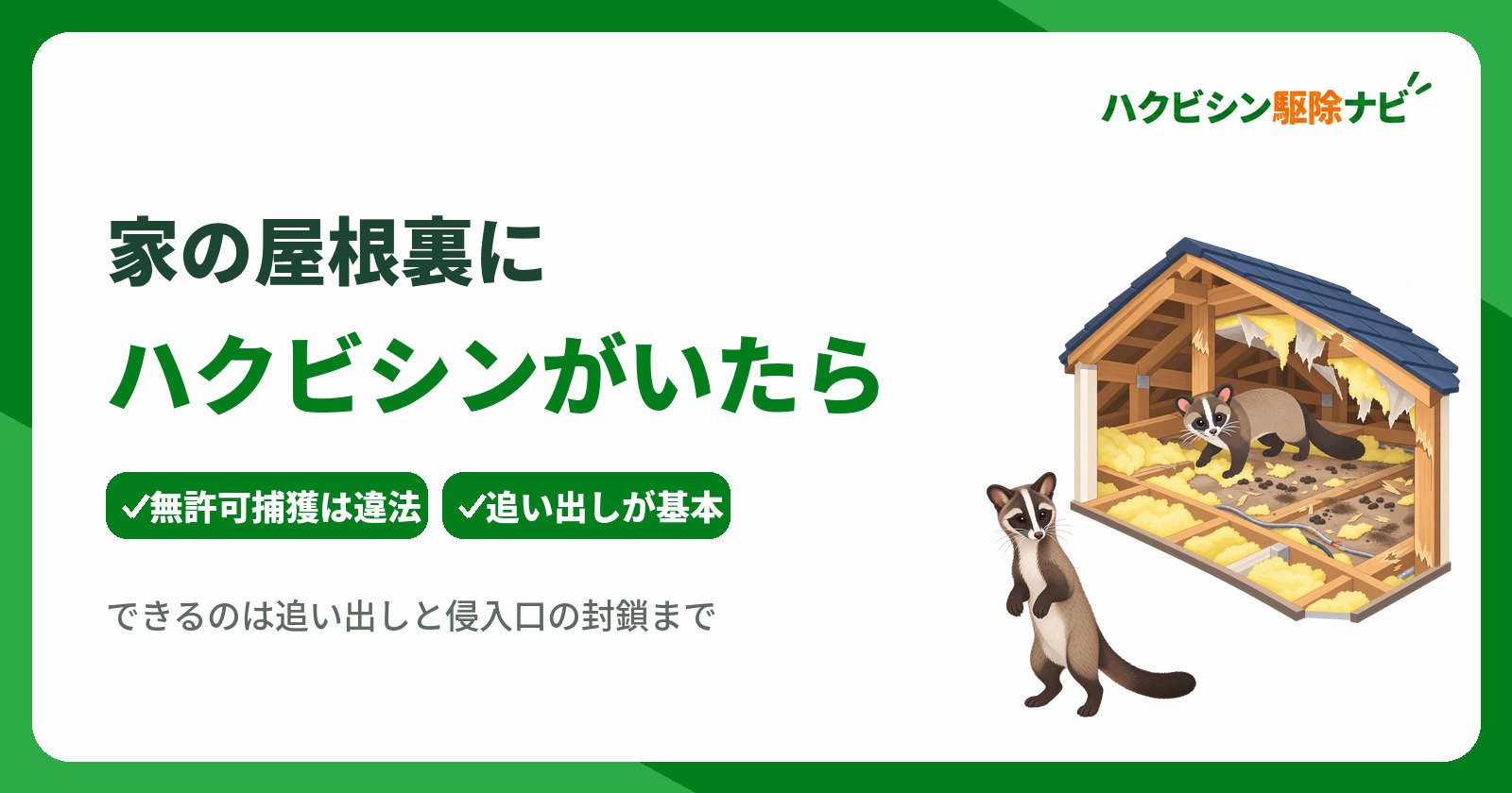 ハクビシンが家の屋根裏にいたらどうする?捕獲禁止の理由と正しい対処法