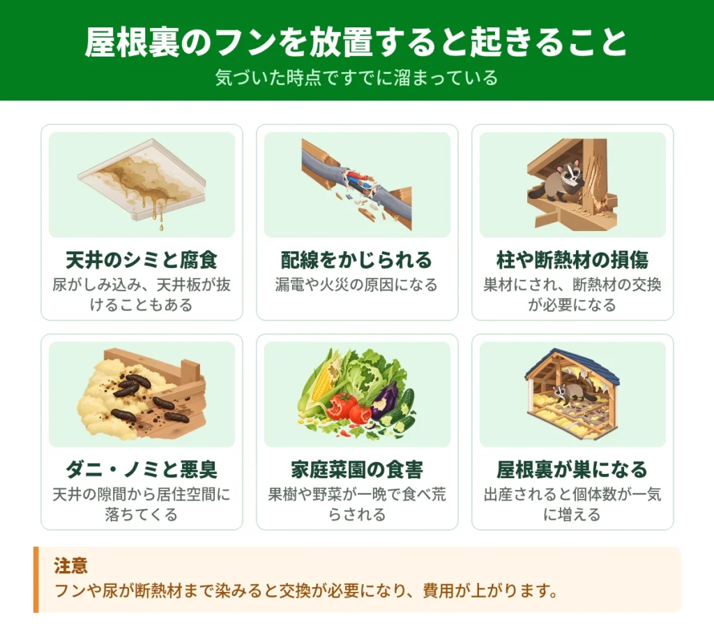 屋根裏のハクビシンのフンを放置したときに起きる被害