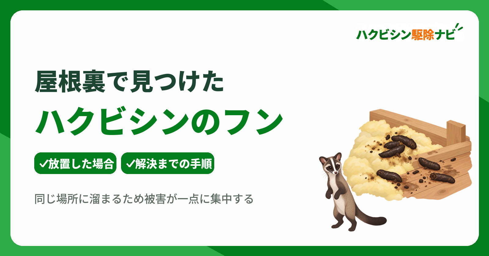 ハクビシンのフンを屋根裏で発見したら？被害リスクと安全な対処法