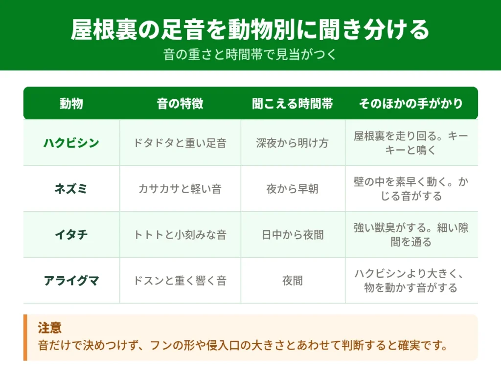 屋根裏から聞こえる動物別の足音の違い