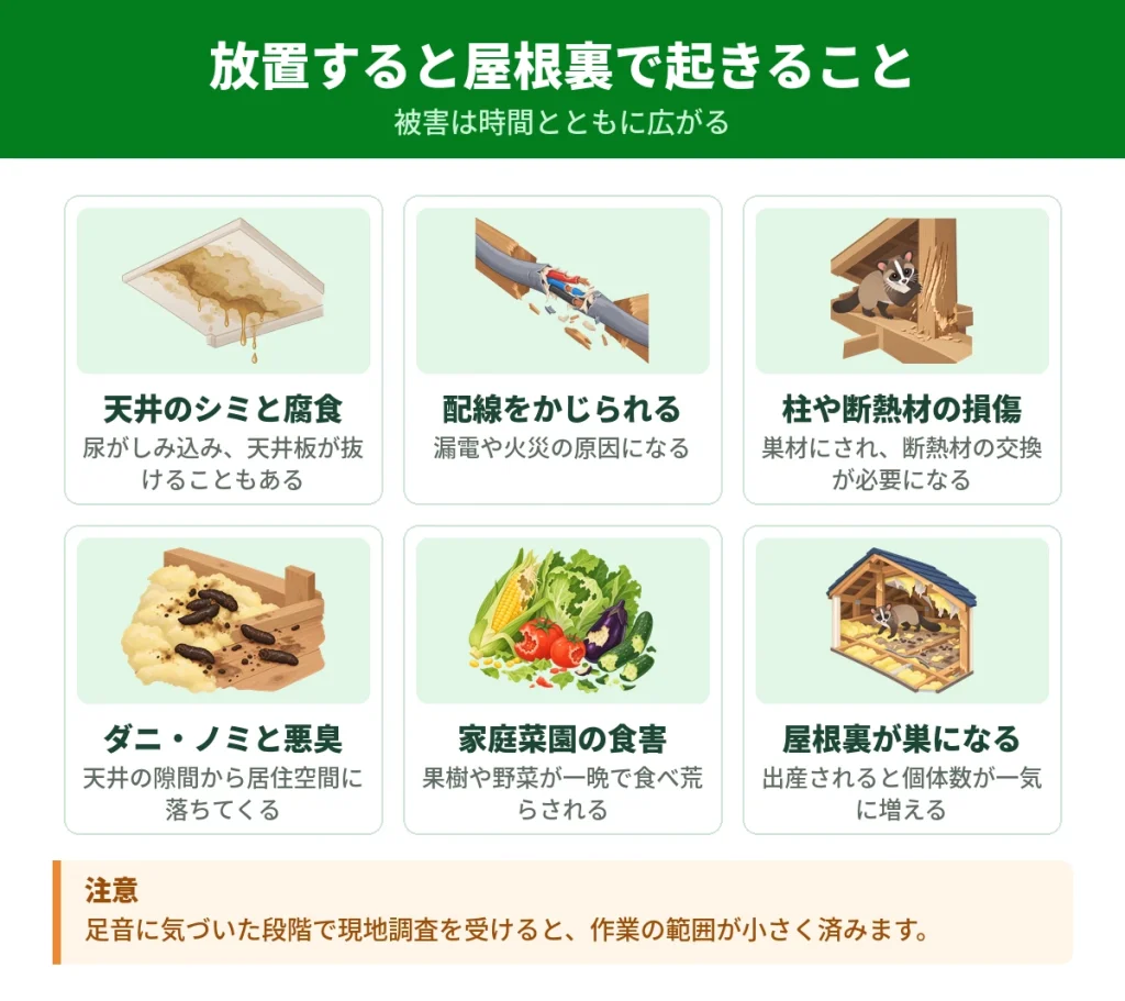 屋根裏のハクビシンを放置したときに起きる被害