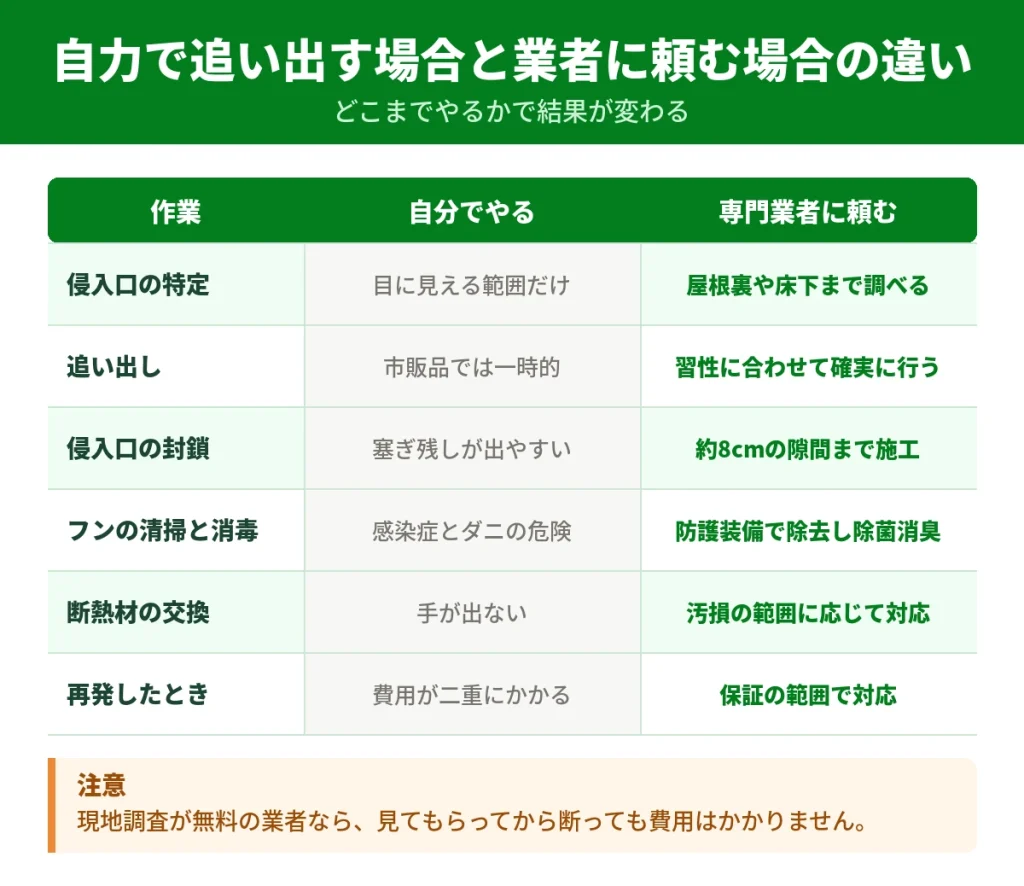 屋根裏のハクビシン対策を自分で行う場合とプロに頼む場合の違い