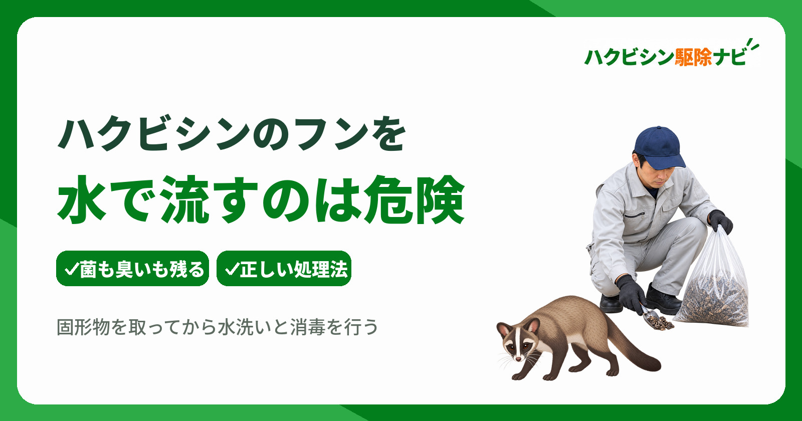 ハクビシンのフンは水で流すだけでは危険?水場に排泄する理由と正しい処理法