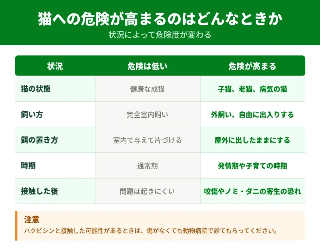 ハクビシンが猫を襲う危険が高まる状況