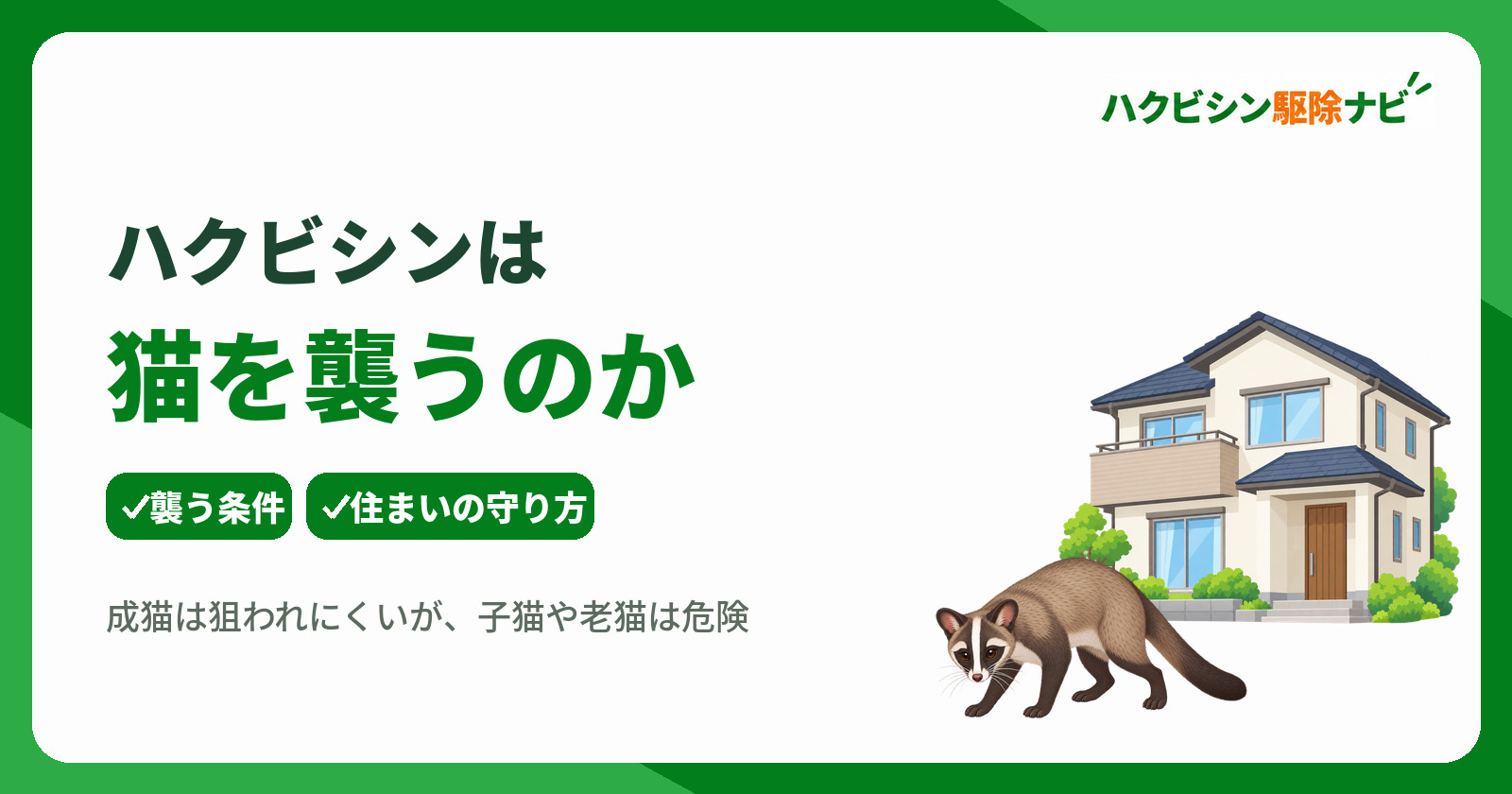 ハクビシンが猫を襲う可能性は?危険なケースと被害を防ぐ住まいの対策