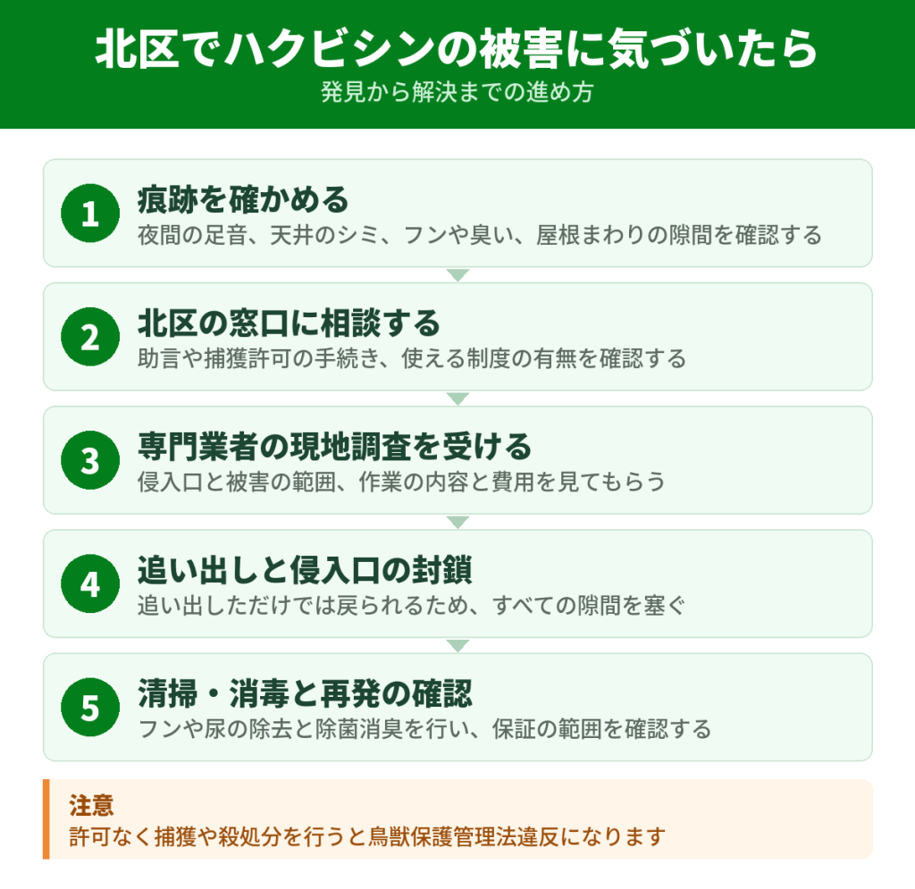 北区でハクビシンの被害に気づいてから解決するまでの流れ