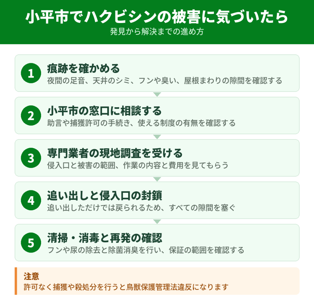 小平市でハクビシンの被害に気づいてから解決するまでの流れ