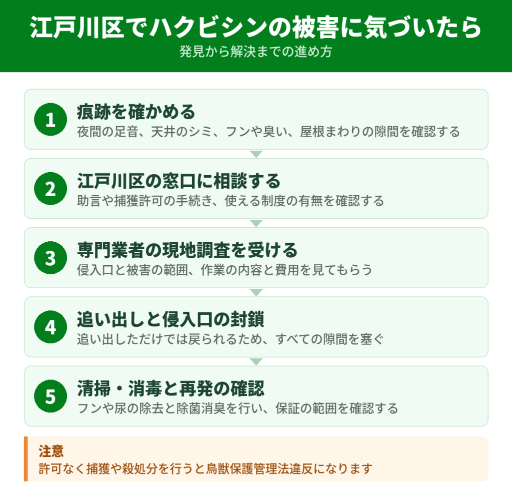 江戸川区でハクビシンの被害に気づいてから解決するまでの流れ
