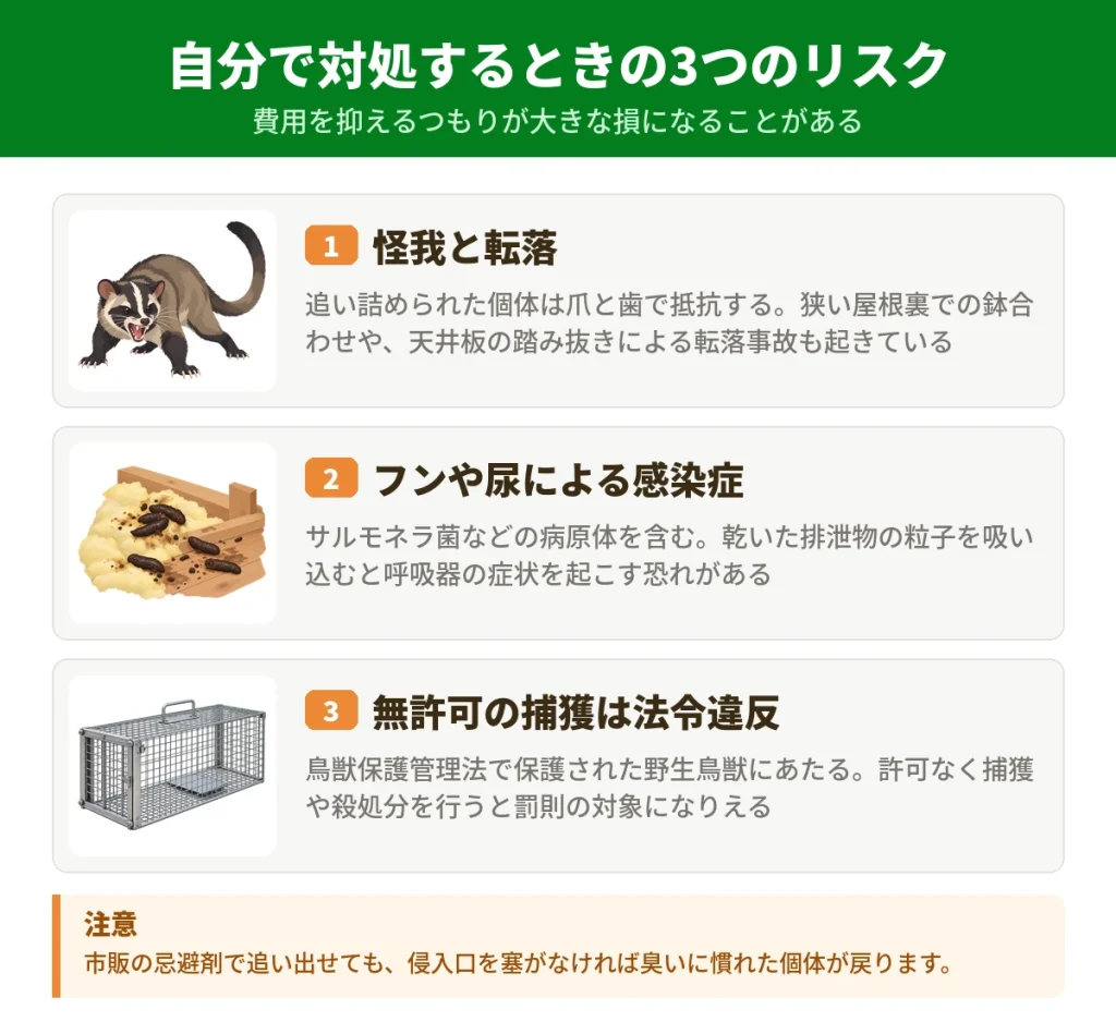 ハクビシンを自分で駆除するときの3つのリスク