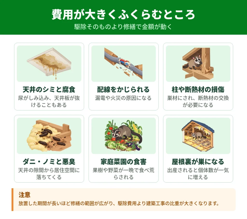 ハクビシン駆除費用が高額になる要因