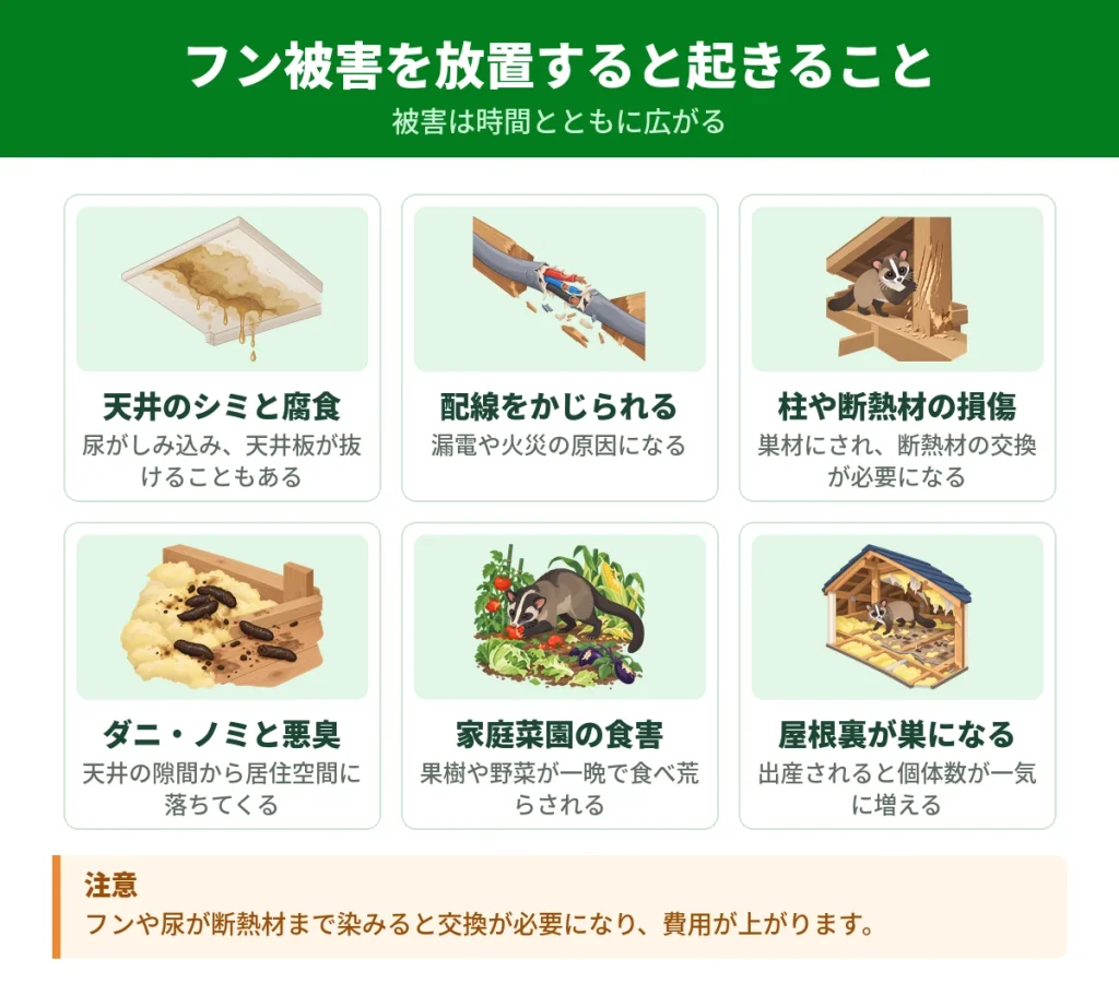 ハクビシンのフン被害を放置したときに起きること