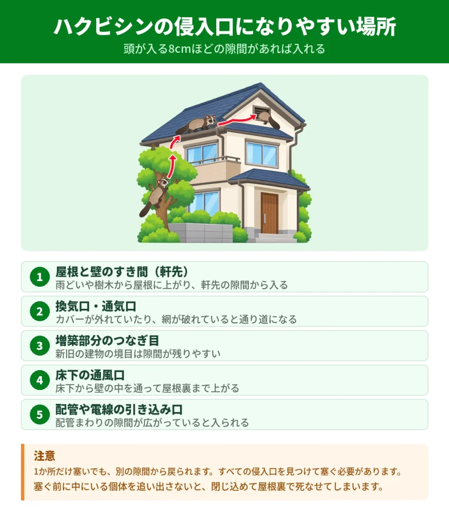 ハクビシンの侵入口になりやすい家の5か所