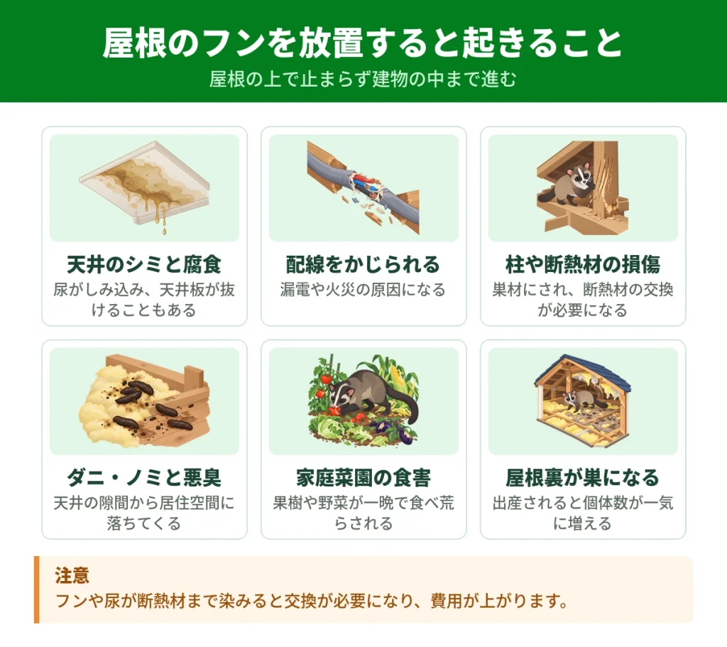 屋根のハクビシンのフンを放置したときに起きる被害