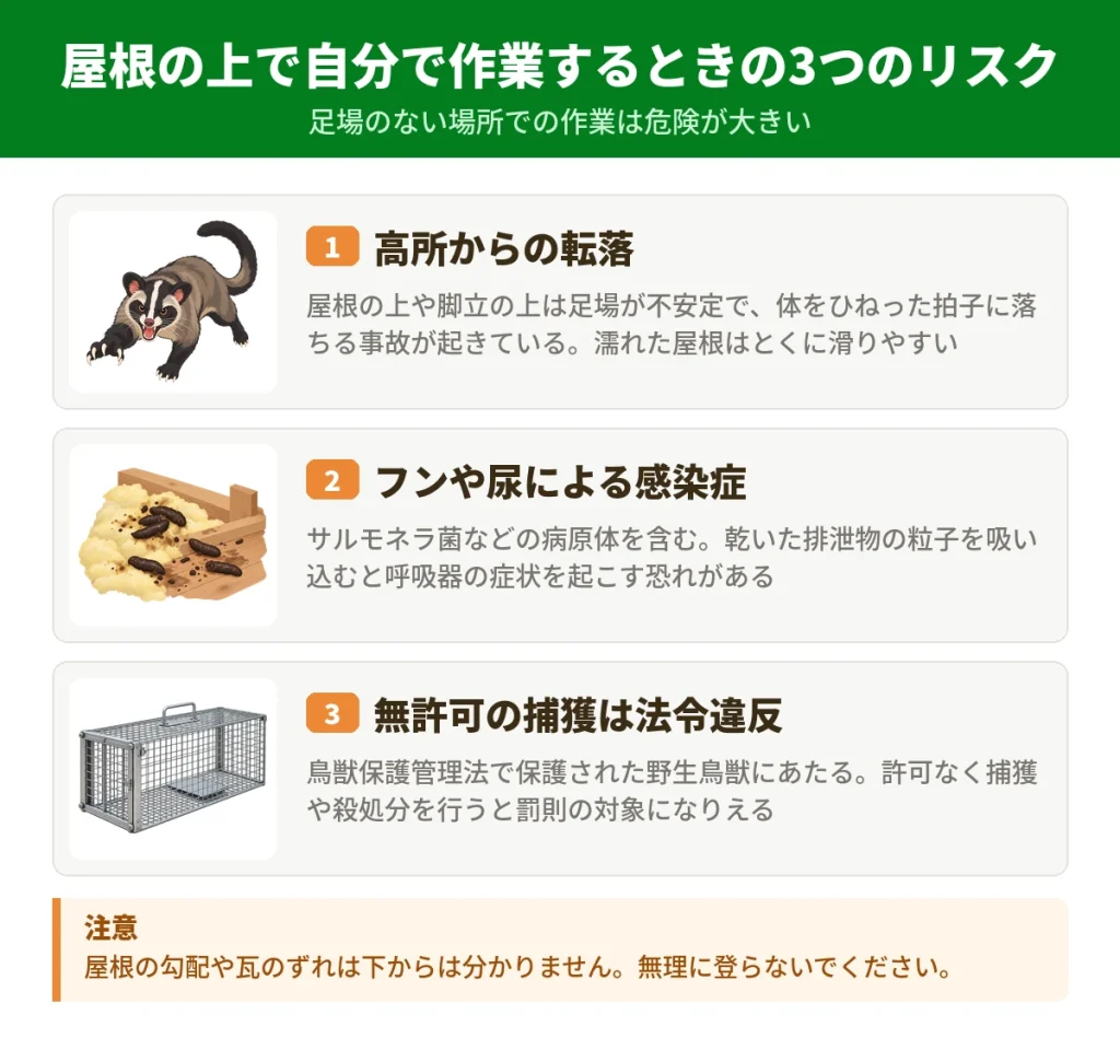 屋根のフンを自分で清掃するときの3つのリスク