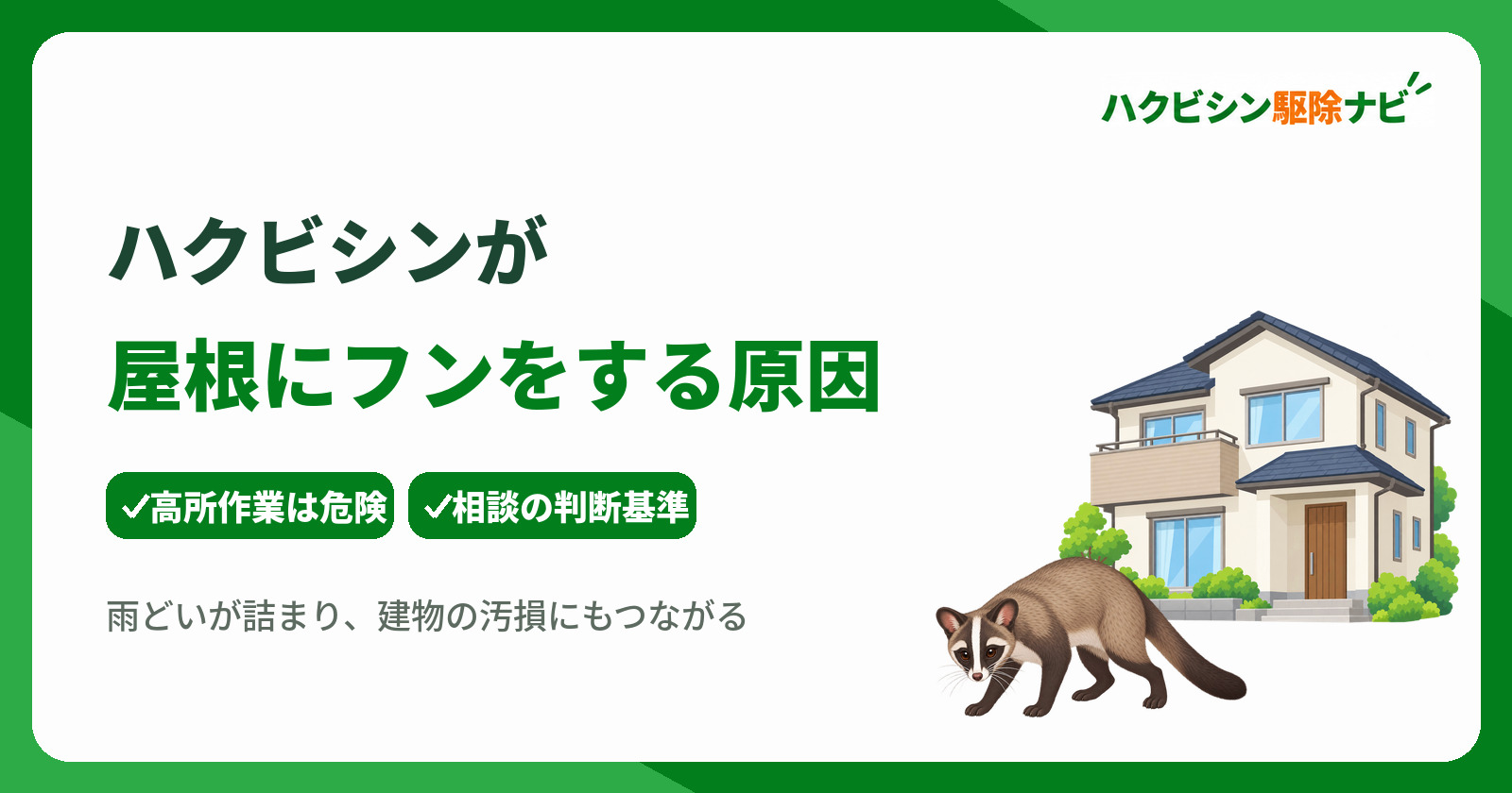 ハクビシンが屋根にフンをする原因とは？安全な対処法と業者相談の基準