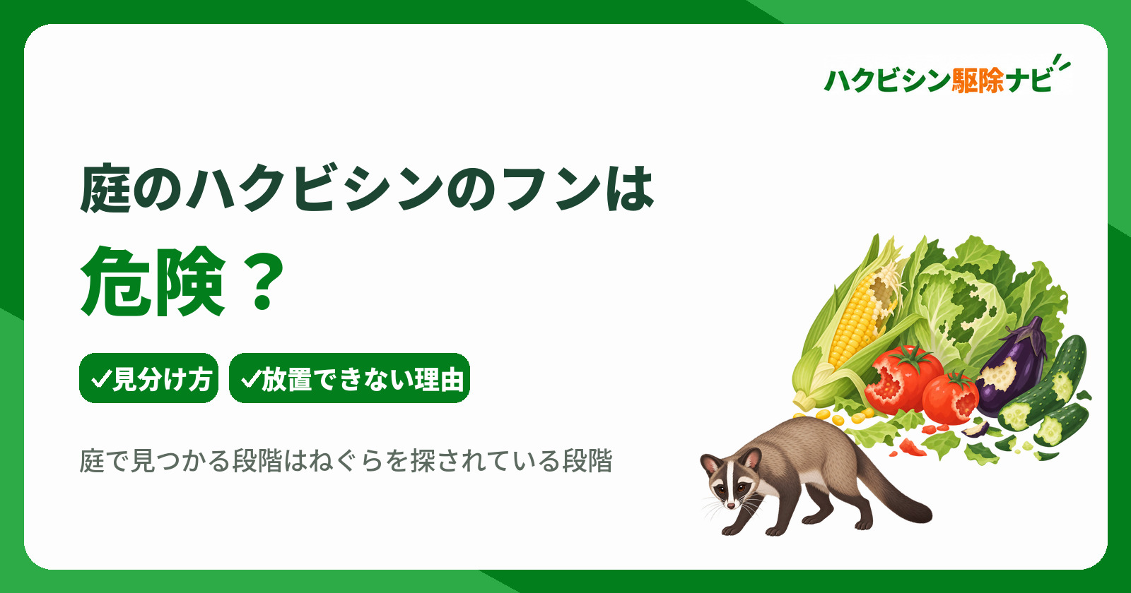 庭のハクビシンのフンは危険？見分け方と放置できない理由・対処法
