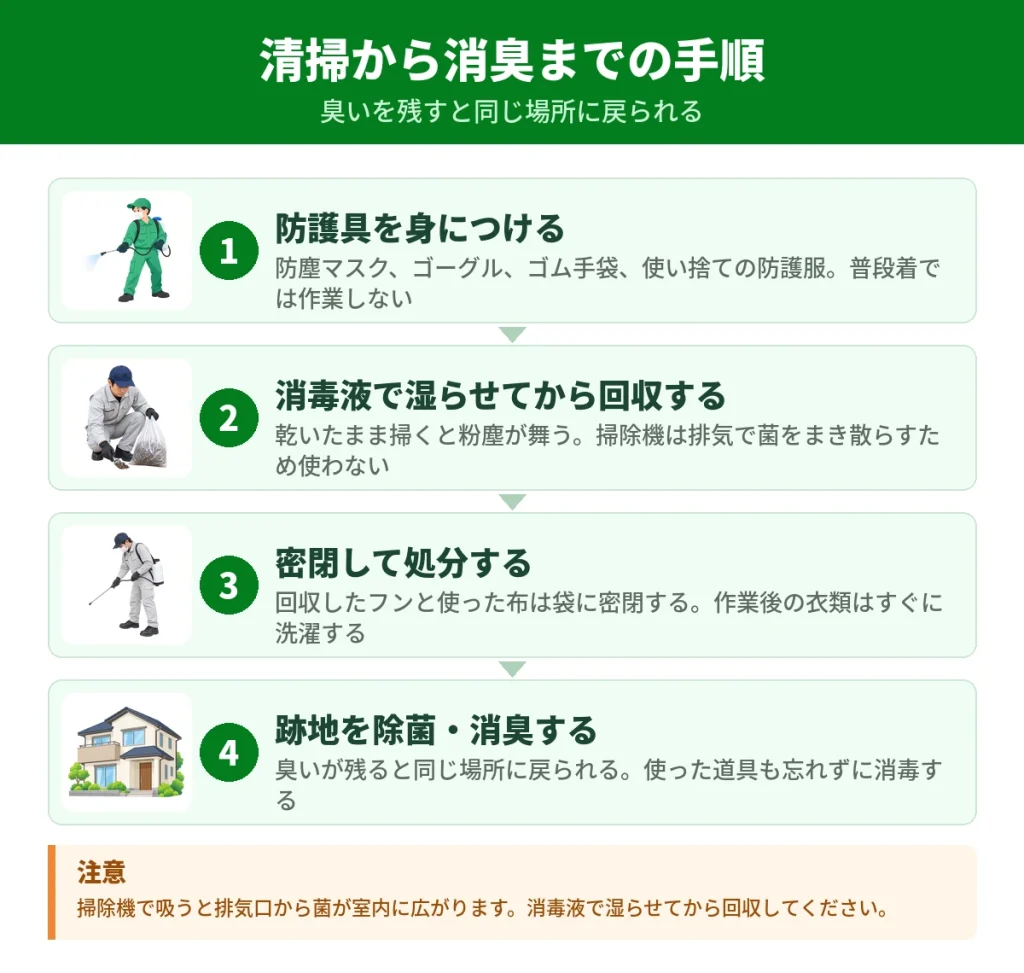 ハクビシンのフンを清掃して臭いを消すまでの手順