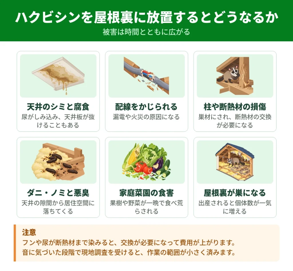 ハクビシンを屋根裏に放置したときに起きる6つの被害