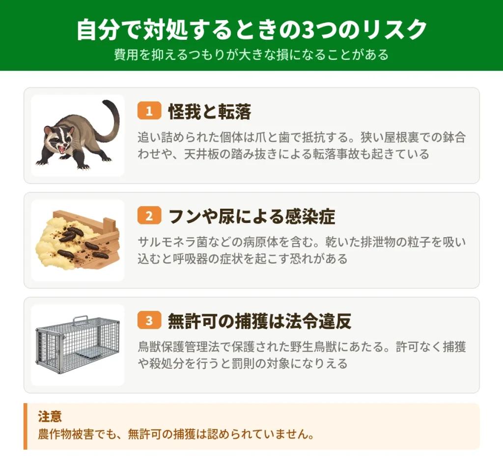 ハクビシンに自分で対処するときの3つのリスク