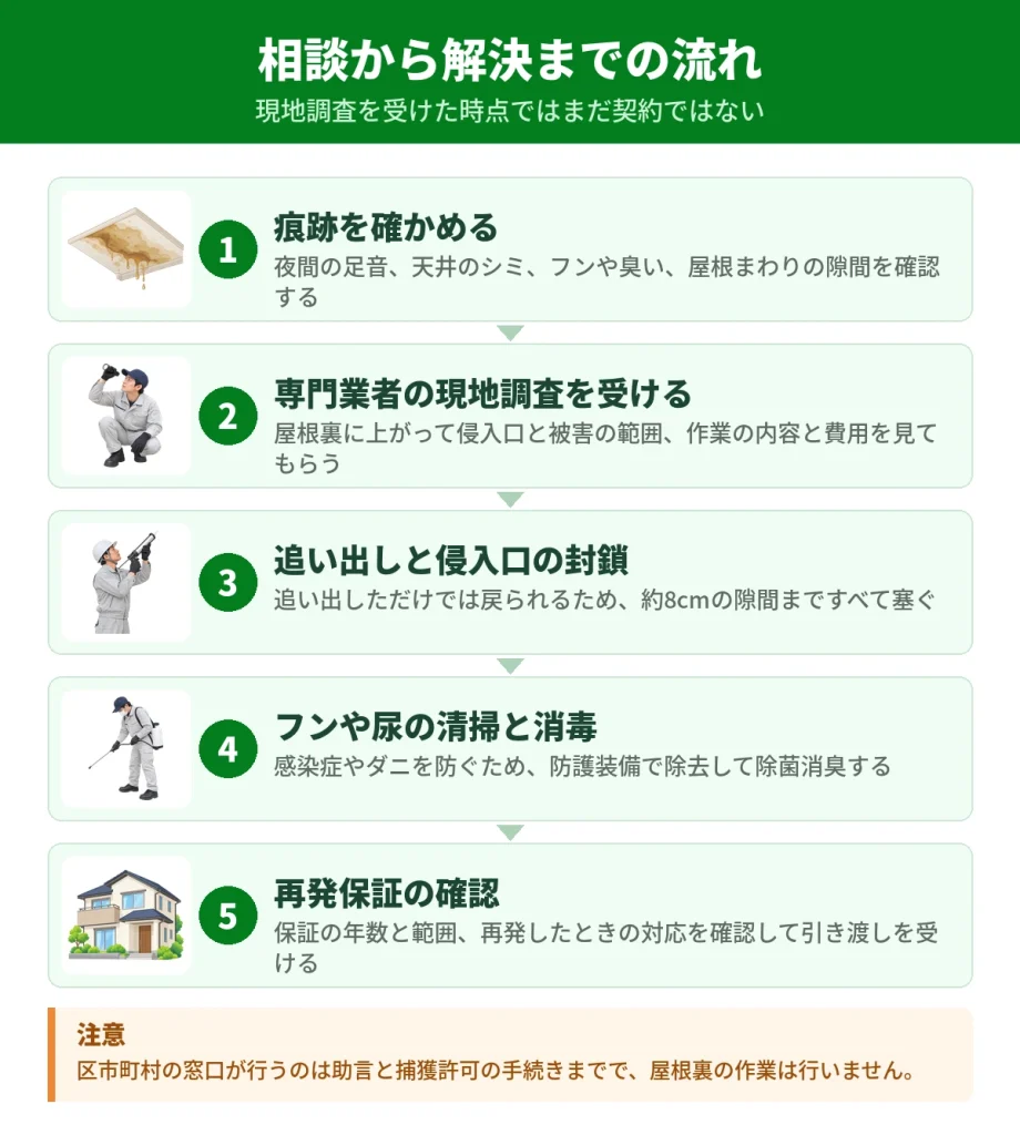 ハクビシン駆除の相談から解決までの流れ