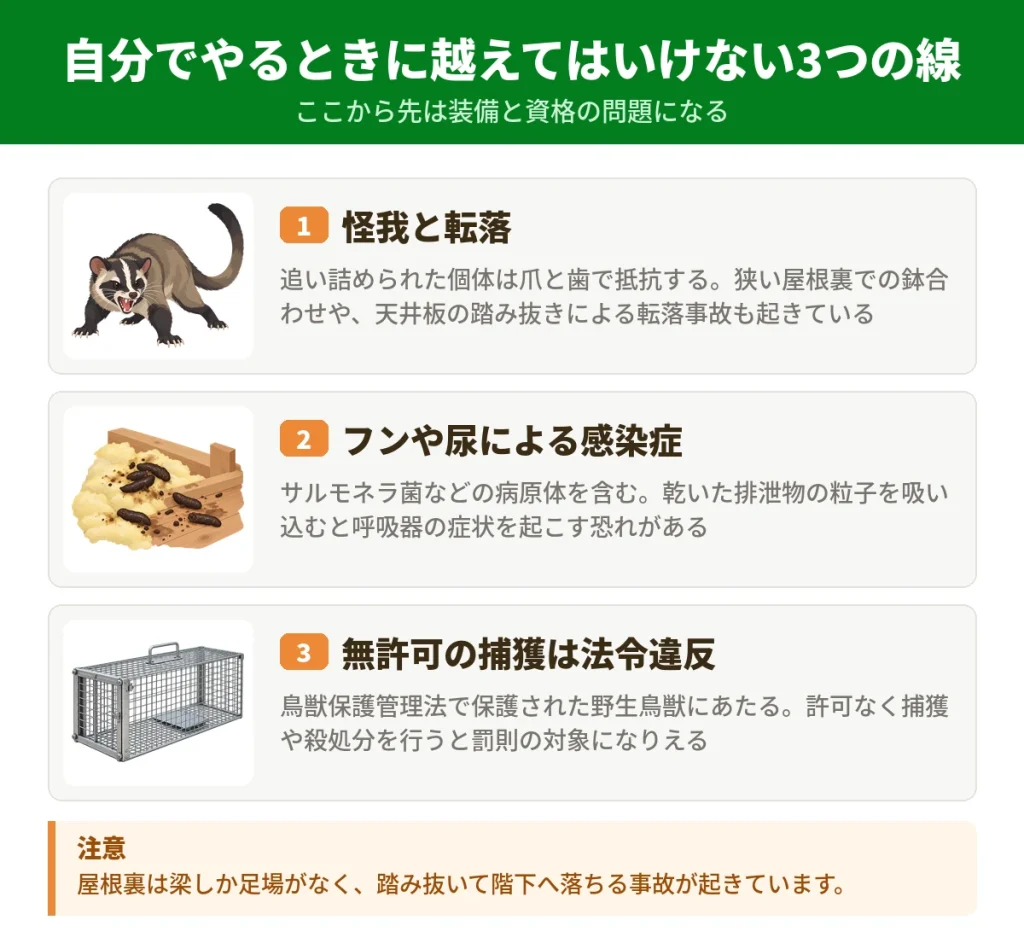ハクビシンを自分で駆除するときの3つのリスク