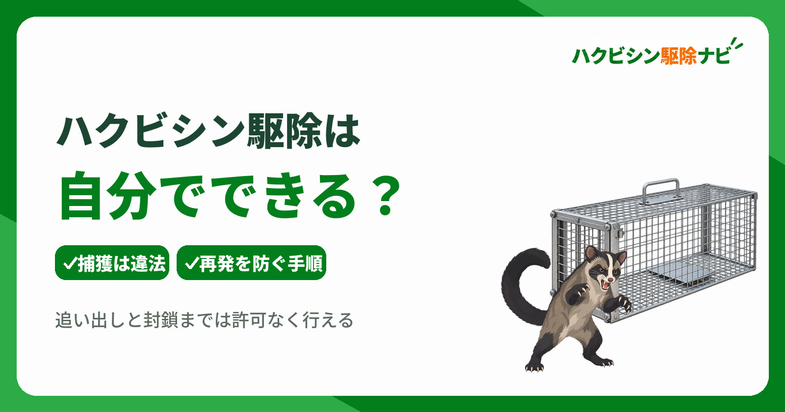 ハクビシン駆除は自分で可能?捕獲の違法性と再発を防ぐ安全な対処法