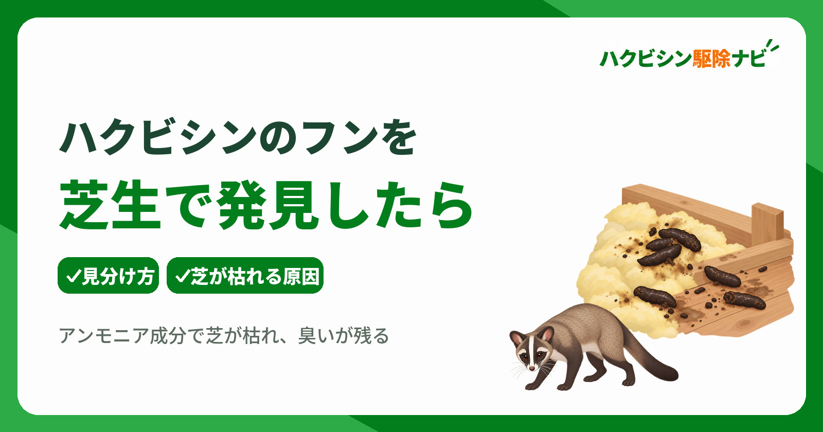 ハクビシンのフンを芝生で発見したときの見分け方と清掃や消毒の対策