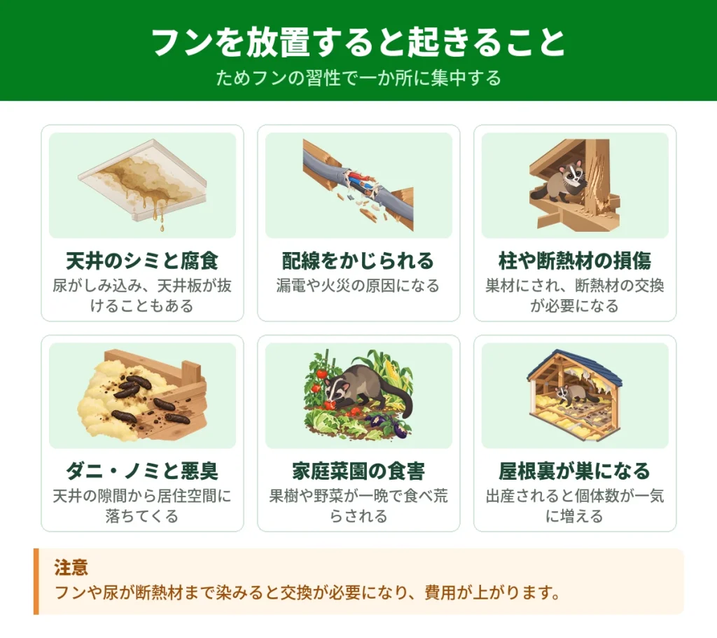 ハクビシンのフンを放置したときに起きること