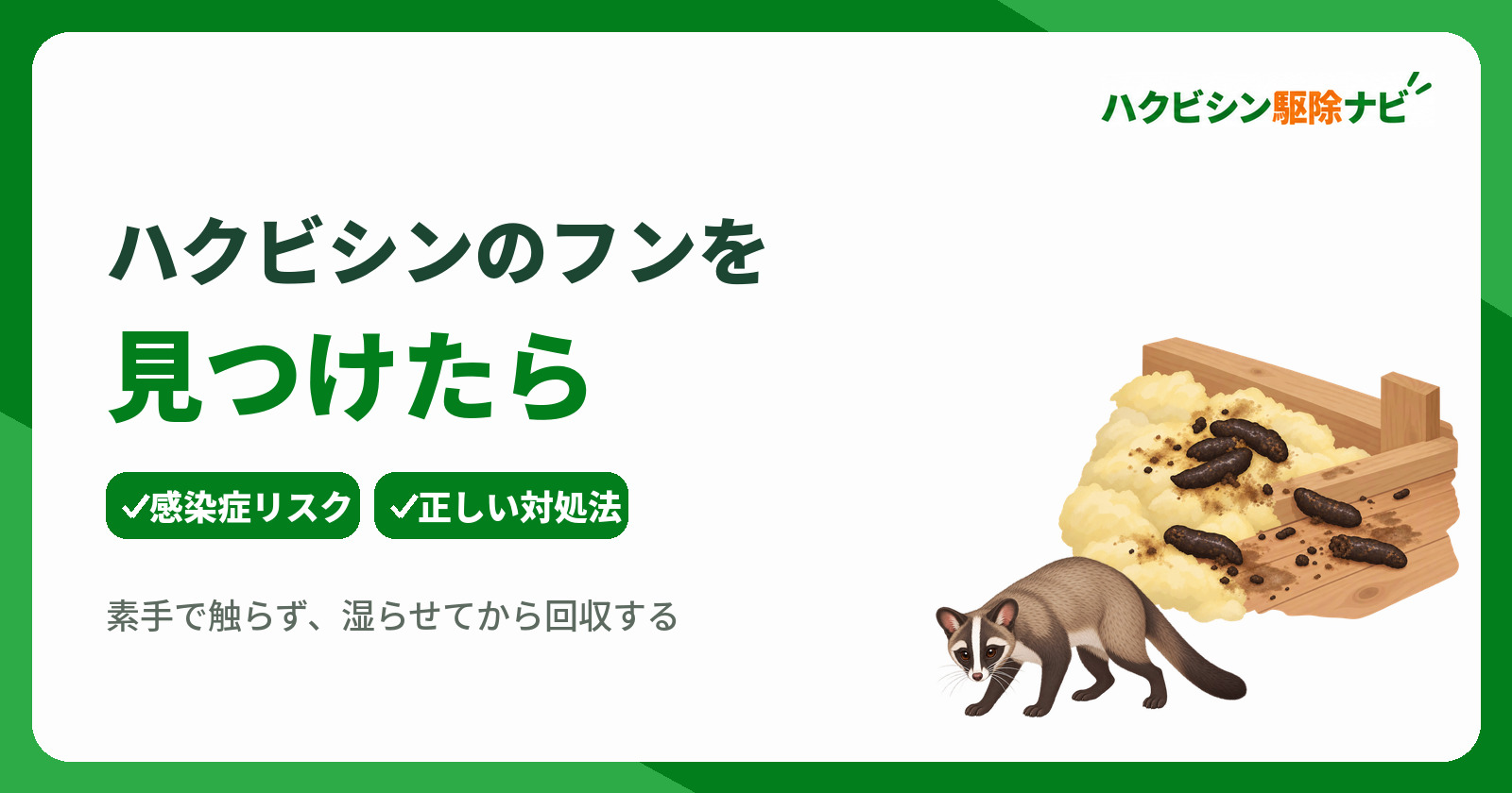 ハクビシンのフンを見つけたら?感染症リスクと正しい対処法