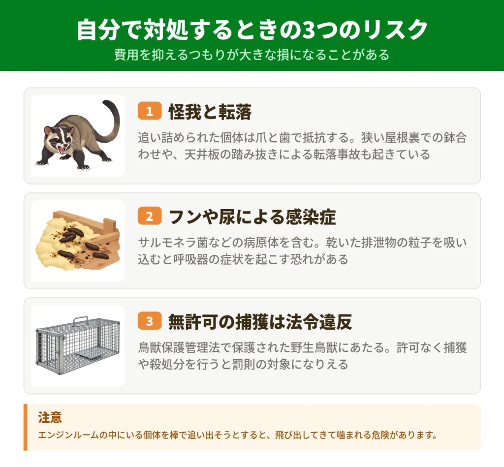ハクビシンに自分で対処するときの3つのリスク
