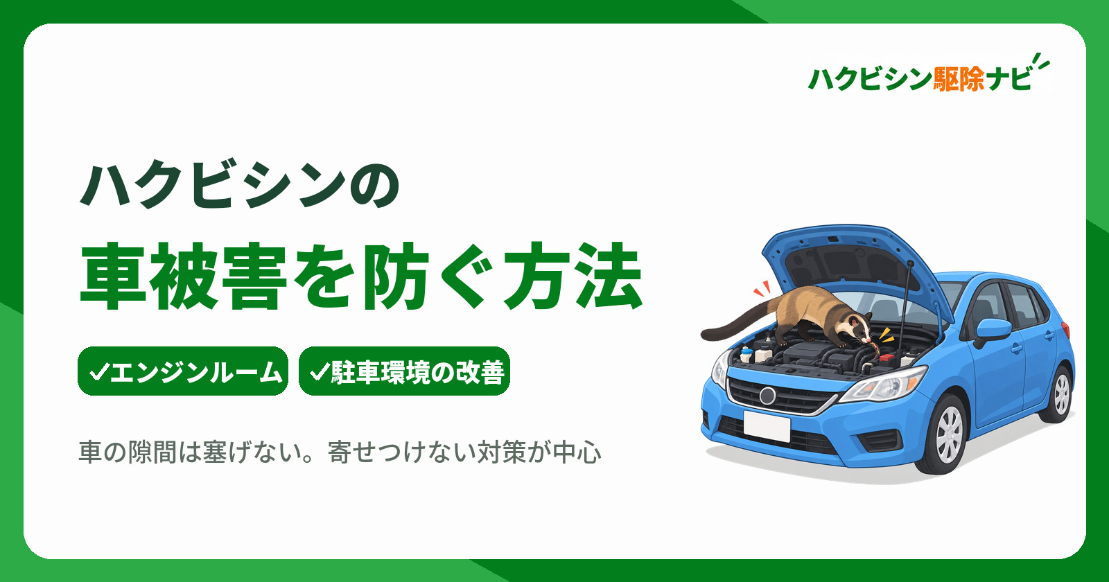 ハクビシンの車被害を防ぐ方法とは?侵入対策と適切な相談先を解説