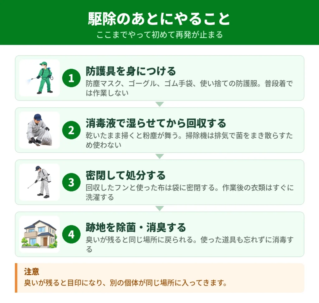ハクビシン駆除のあとに必要になる作業の手順