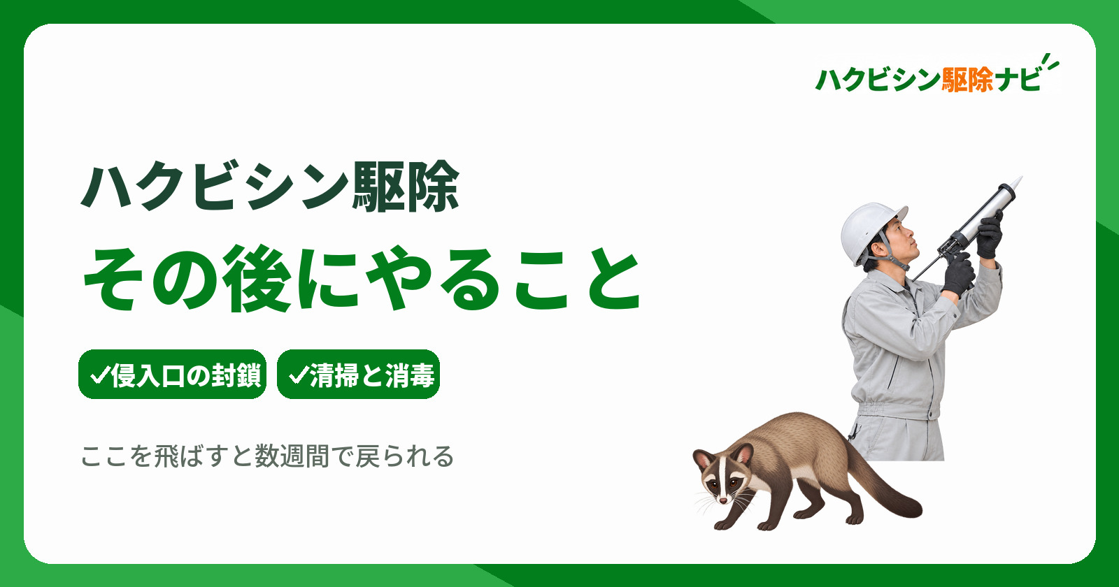 ハクビシン駆除その後に必須な対策とは?侵入口封鎖と清掃消毒の手順