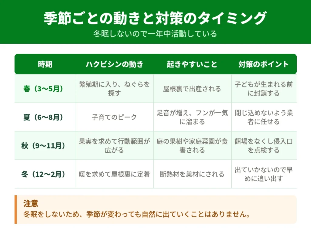 ハクビシンの季節ごとの行動と対策のタイミング