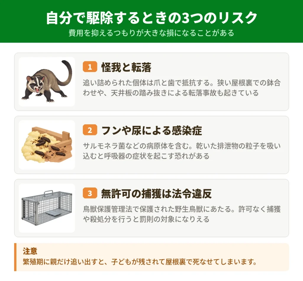 ハクビシンを自分で駆除するときの3つのリスク