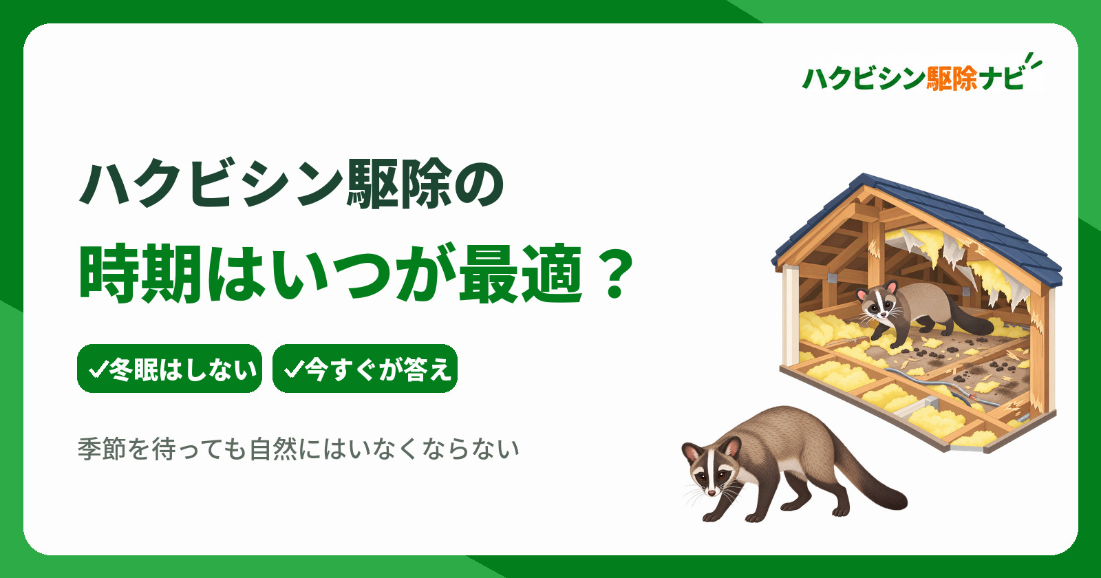 ハクビシン駆除の時期はいつが最適?放置できない理由と対策基準