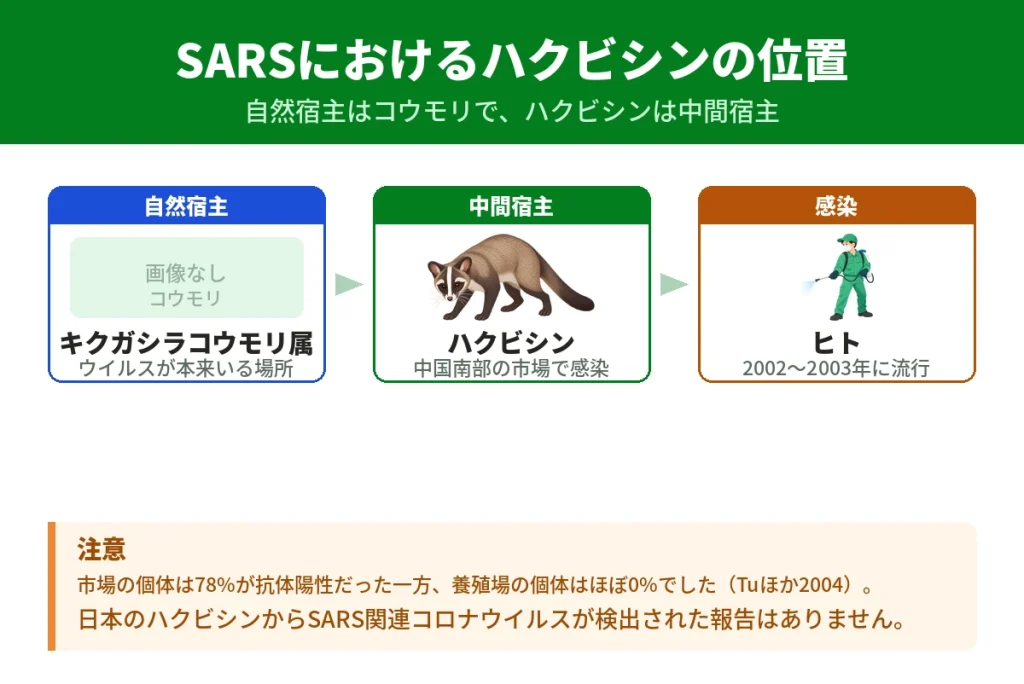 SARSコロナウイルスにおけるコウモリ・ハクビシン・ヒトの関係