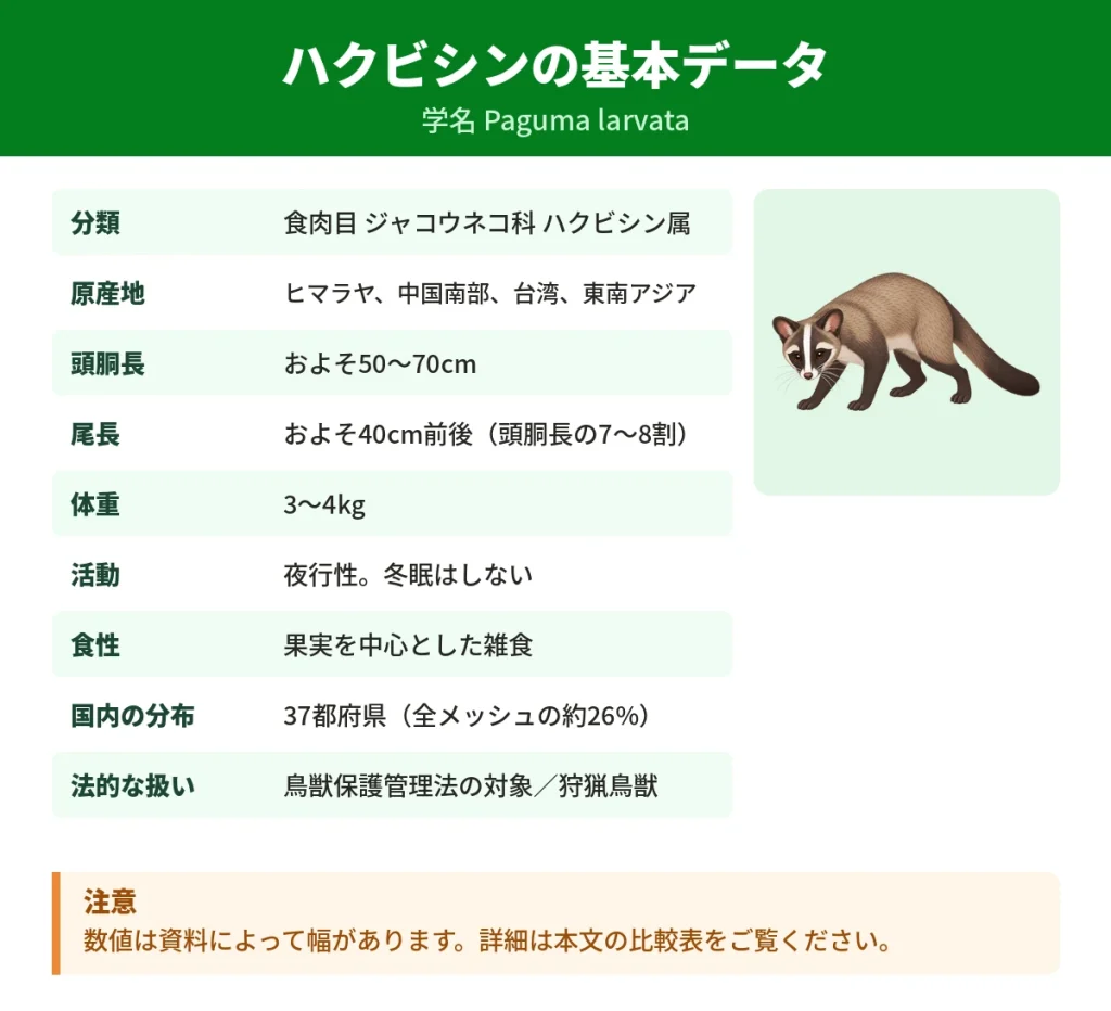 ハクビシンの学名・分類・体の大きさ・分布・法的な位置づけをまとめた基本データ